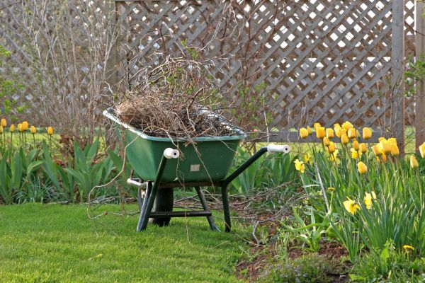 Flower Bed Cleanup Service in Sun City