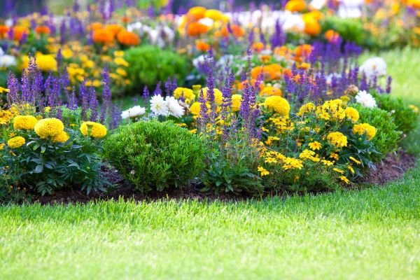 Flower Bed Maintenance in Sun City