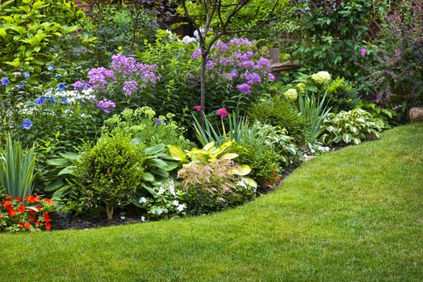 Flower Bed Service in Sun City