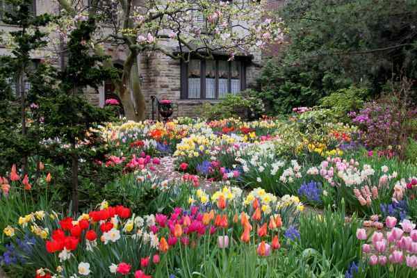 Garden Maintenance Service in Sun City