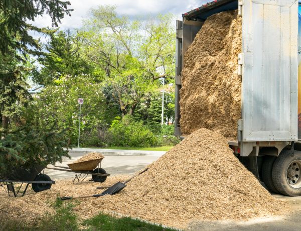 Wood Chips Delivery in Sun City