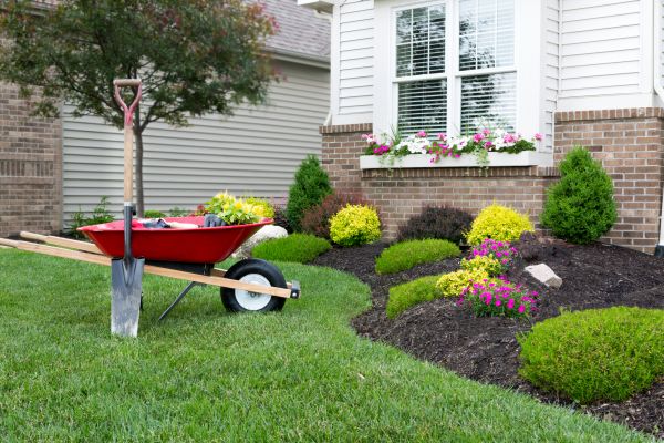 Landscape Maintenance Service in Sun City