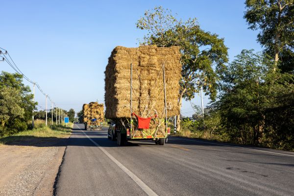 Pine Straw Delivery in Sun City