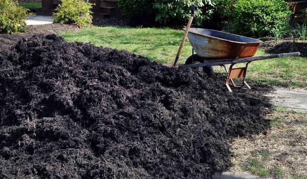 Black Mulch Delivery in Sun City