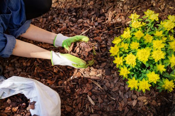 Garden Mulching in Sun City