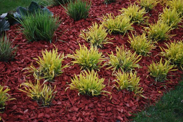 Mulch Landscaping in Sun City