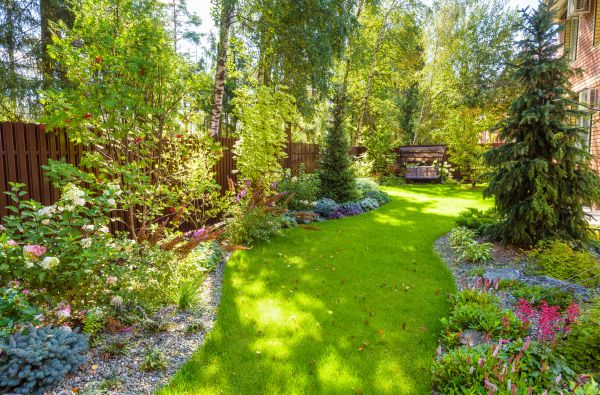 Residential Landscape Service in Sun City