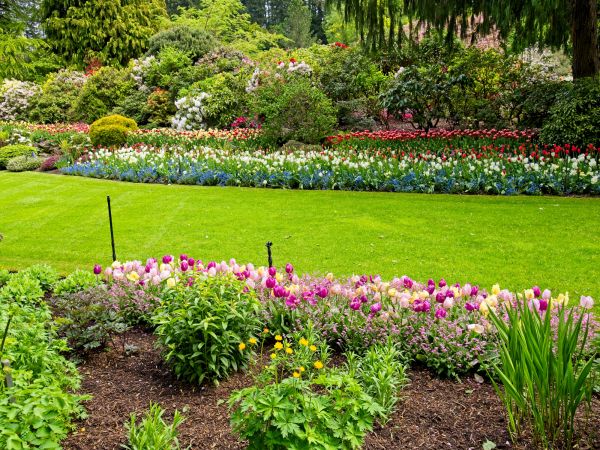 Residential Landscape Design in Sun City