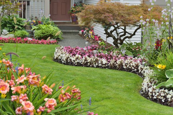 Perennial Landscaping in Sun City