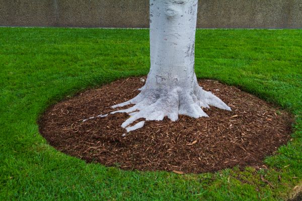 Brown Mulch Installation in Sun City