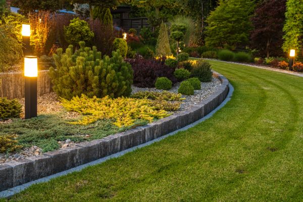 Garden Repair Service in Sun City