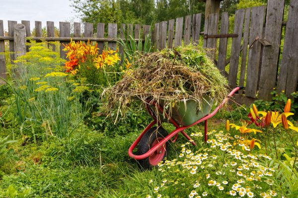 Garden Cleanup Service in Sun City