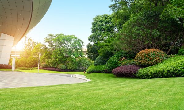 Business Landscape Design in Sun City