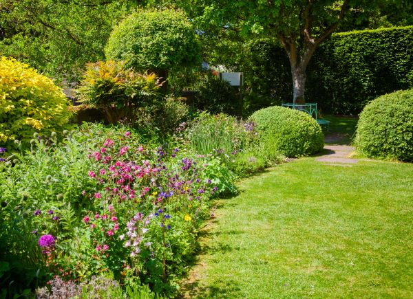 Yard Landscaping Service in Sun City