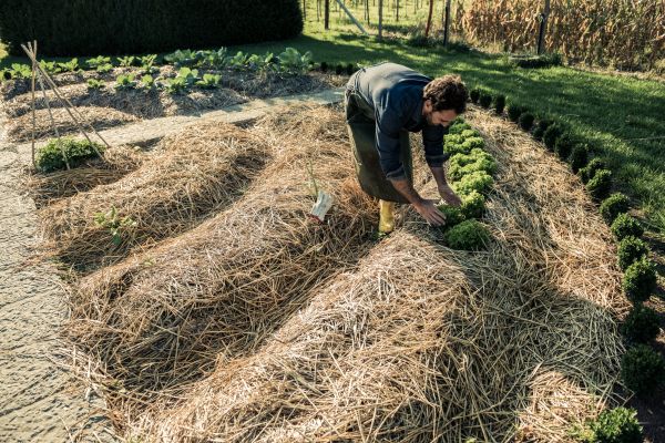 Straw Mulching Service in Sun City