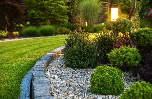 Landscaping Service in Sun City