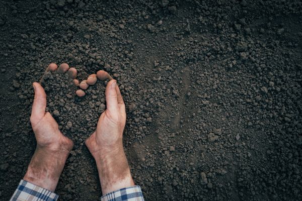 Soil Installation in Sun City