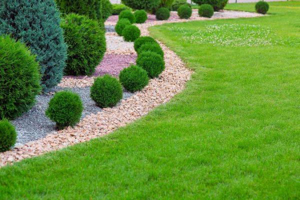 Edging Stones Installation in Sun City