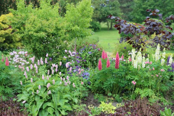 Flower Bed Planting in Sun City