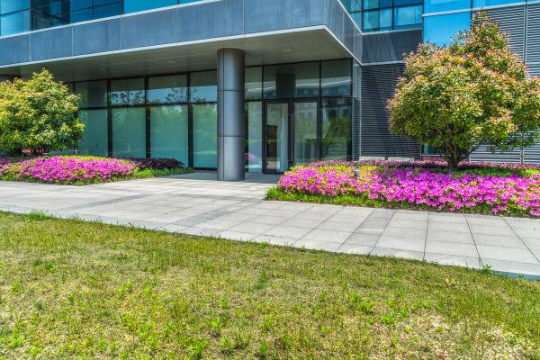 Commercial Gardening in Sun City