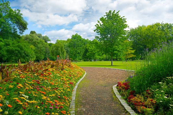 Park Landscaping in Sun City