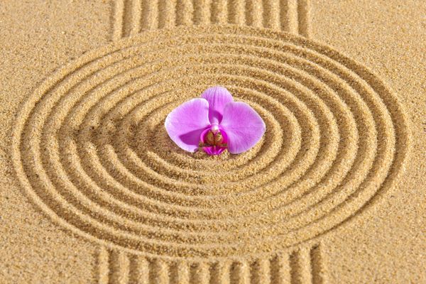 Sand Garden Landscaping in Sun City