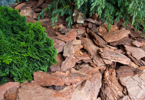 Pine Bark Installation in Sun City