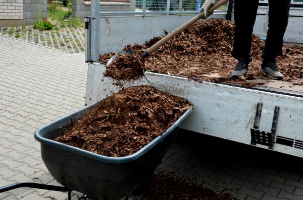 Cypress Mulch Delivery in Sun City