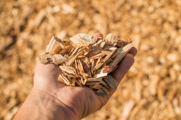 Wood Chips Spreading in Sun City