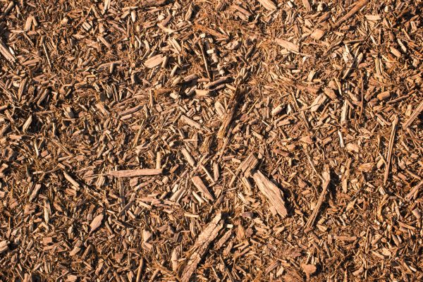 Wood Chips Removal in Sun City