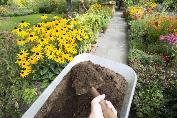 Topsoil Replacement in Sun City