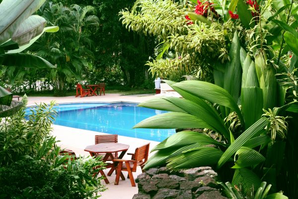 Pool Area Landscaping in Sun City