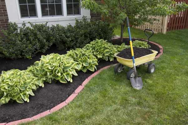 Landscape Mulching in Sun City
