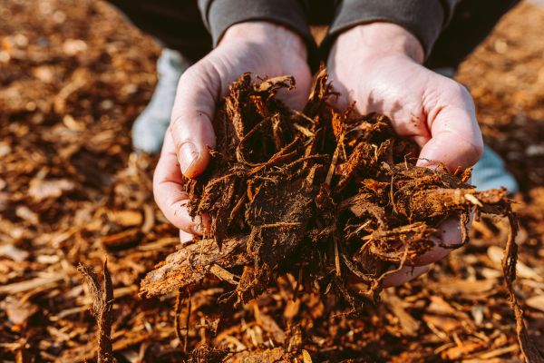 Bark Chips Delivery in Sun City