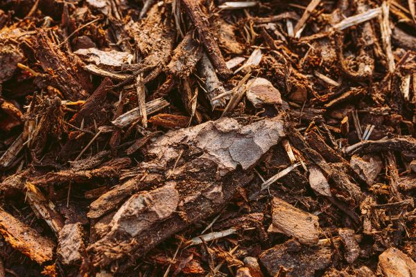 Bark Mulch Delivery in Sun City