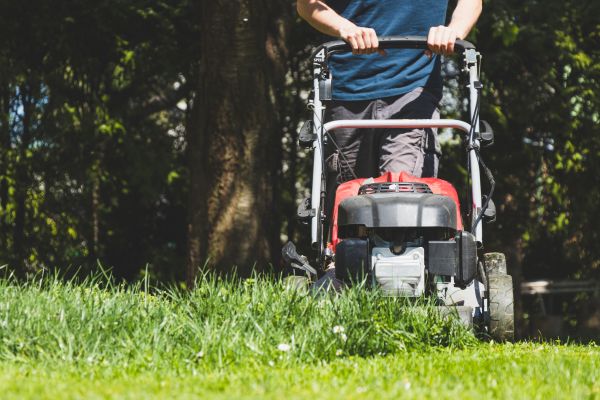 Garden Trimming Service in Sun City