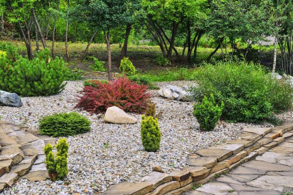 Hardscape Landscaping in Sun City
