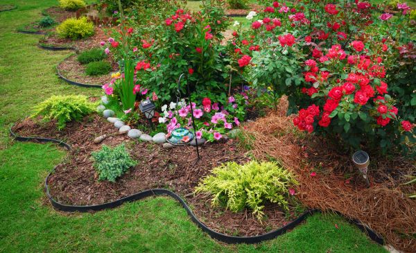Floral Landscaping in Sun City