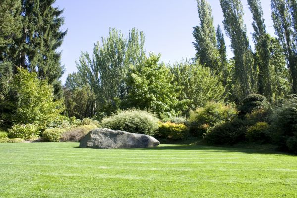 Yard Enlargement in Sun City