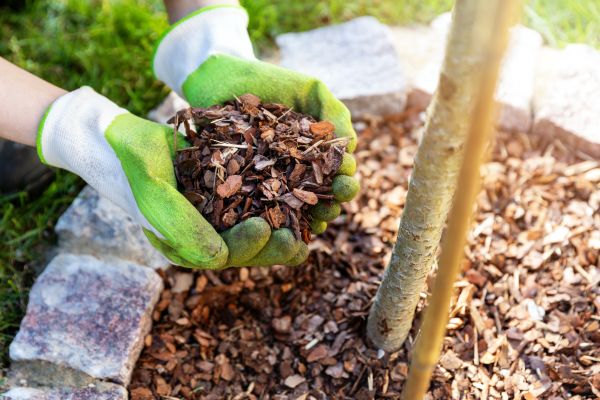 Tree Bark Delivery in Sun City