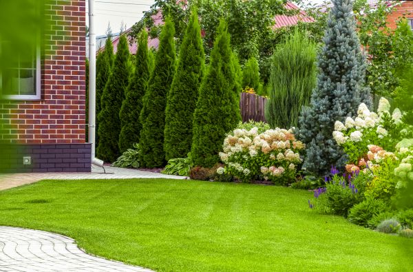 Spring Landscaping in Sun City