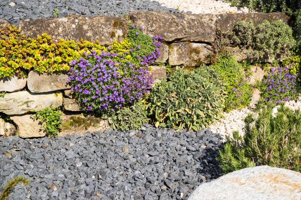 Landscaping Rocks Installation in Sun City