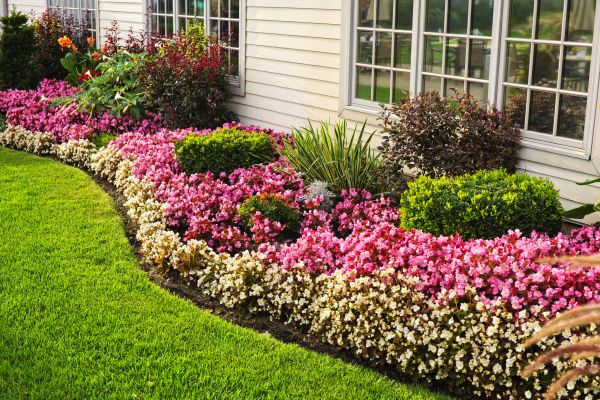 Garden Landscape Design in Sun City