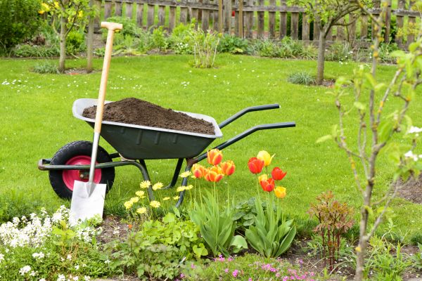 Spring Yard Renovation in Sun City