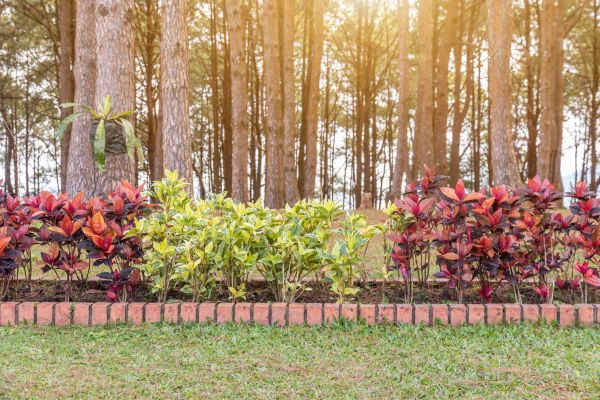 Small Garden Landscaping in Sun City