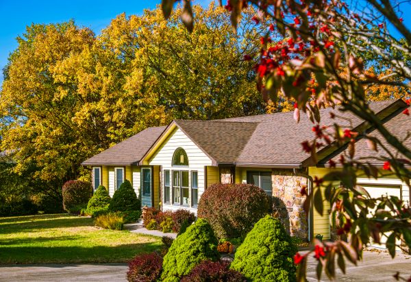 Ranch Landscaping in Sun City