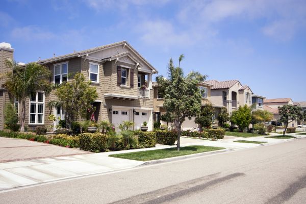 Neighborhood Landscaping in Sun City