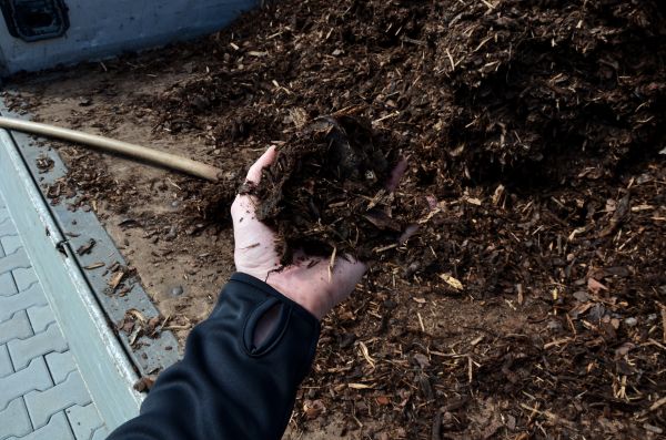 Condo Mulching in Sun City