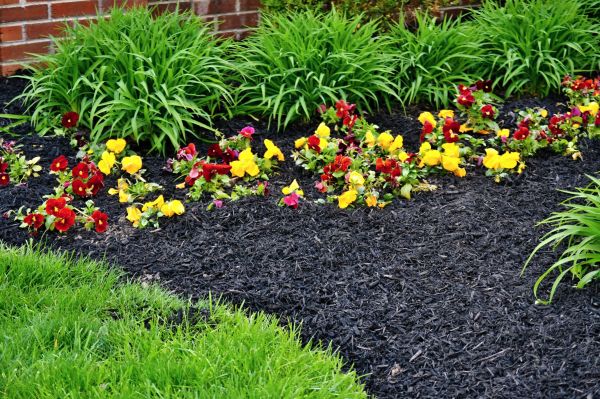 Apartment Mulching in Sun City